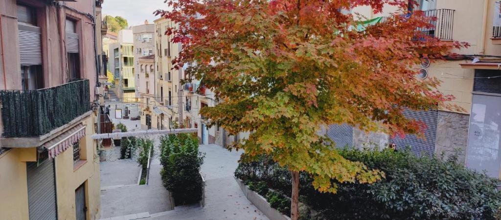Antic 1